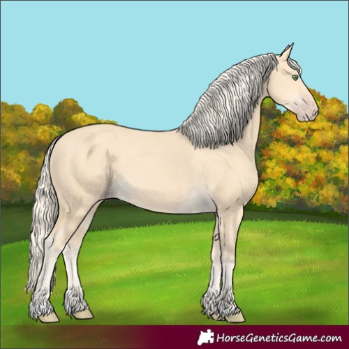 Horse Color:Gold Cream Champagne 