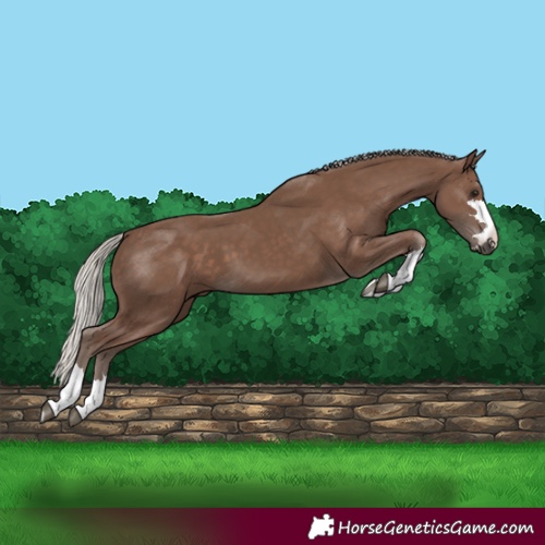 Horse Color:Silver Black 