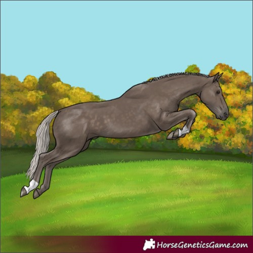 Horse Color:Silver Black 