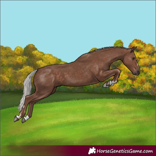 Horse Color:Silver Black 