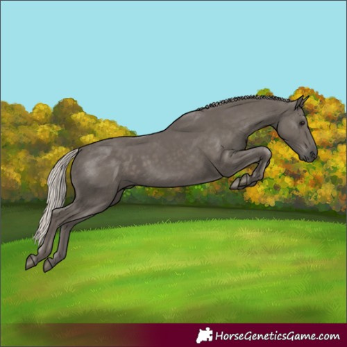Horse Color:Silver Black 