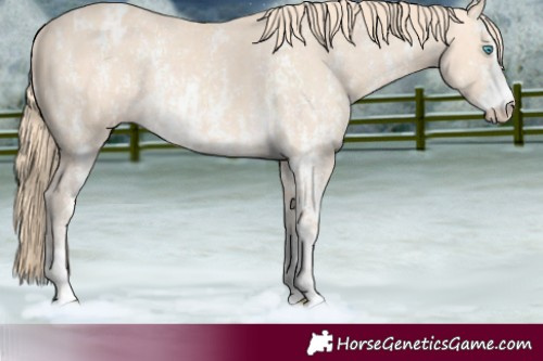 Horse Color:Perlino Sabino  and Perlino Sabino Varnish 