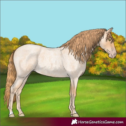 Horse Color:Gold Champagne Roan 