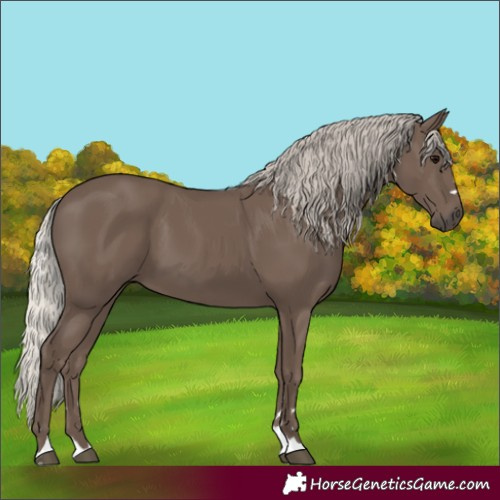 Horse Color:Silver Black 