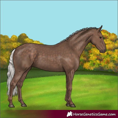 Horse Color:Silver Black 