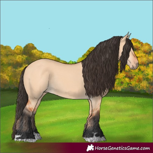 Horse Color:Bay Dun Rabicano 