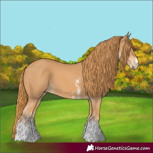 Horse Color:Chestnut Sabino 