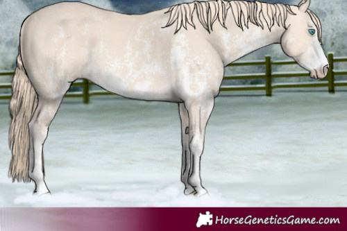Horse Color:Perlino Sabino  and Perlino Sabino 