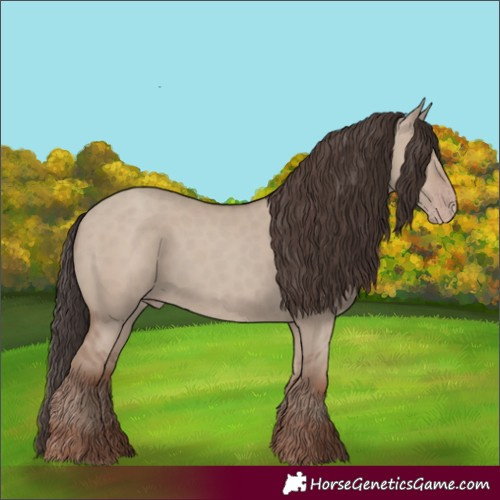 Horse Color:Classic Champagne Dun