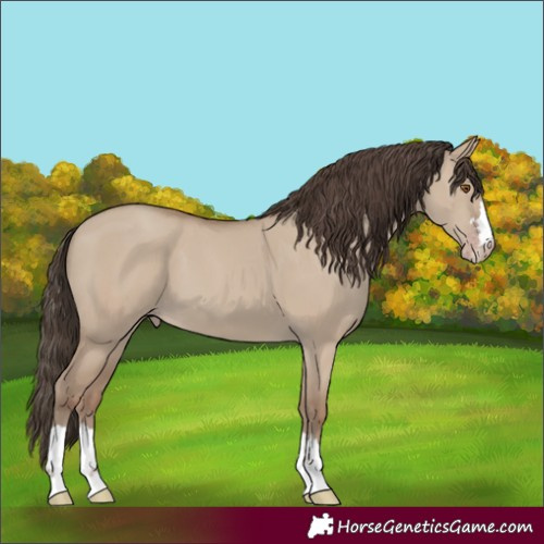 Horse Color:Classic Champagne Dun 