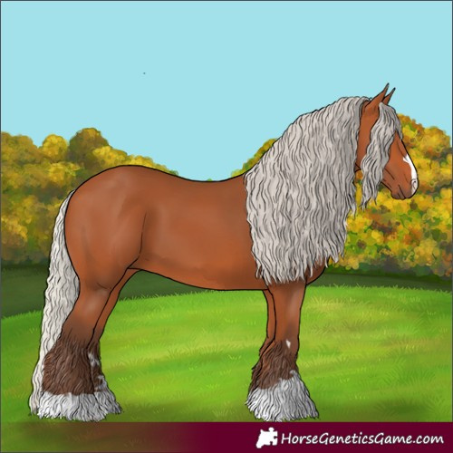 Horse Color:Silver Bay