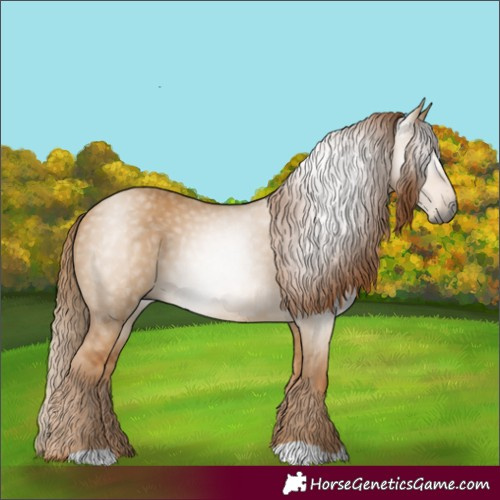 Horse Color:Gray Red Dun 