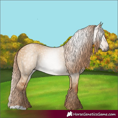 Horse Color:Gray Red Dun
