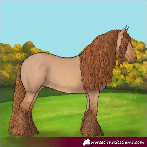 Horse Color:Red Dun