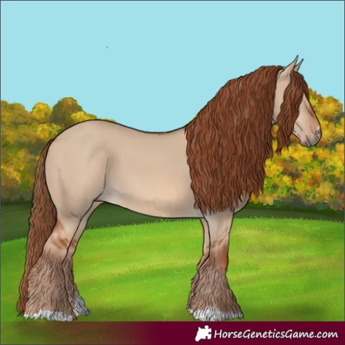 Horse Color:Red Dun