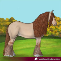 Horse Color:Red Dun 