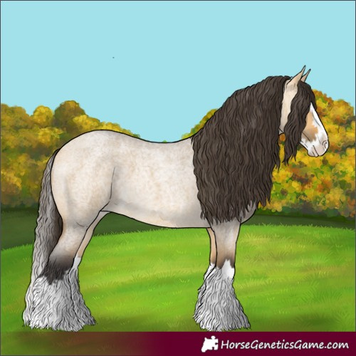 Horse Color:Buckskin Roan Dun Splash
