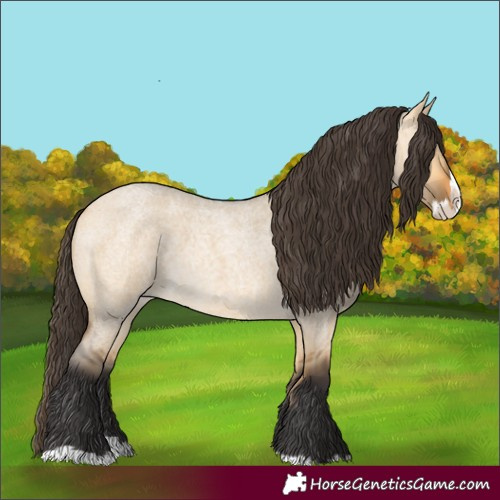 Horse Color:Buckskin Roan Dun Splash