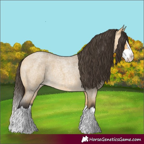 Horse Color:Buckskin Roan Dun Splash