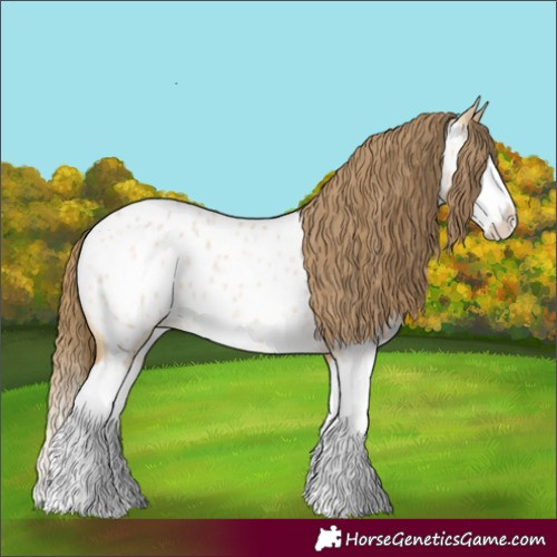 Horse Color:Buckskin Roan Dun Splash Appaloosa