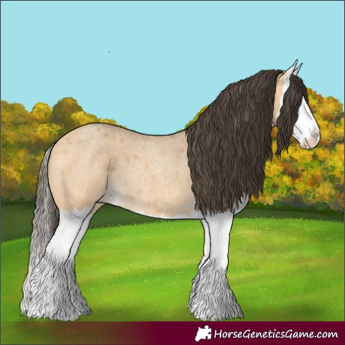 Horse Color:Buckskin Roan Dun Splash