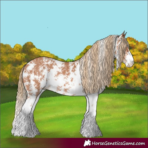 Horse Color:Chestnut Sabino