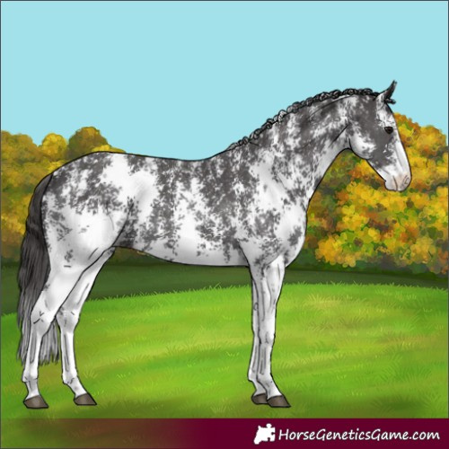 Horse Color:Smoky Black Sabino 