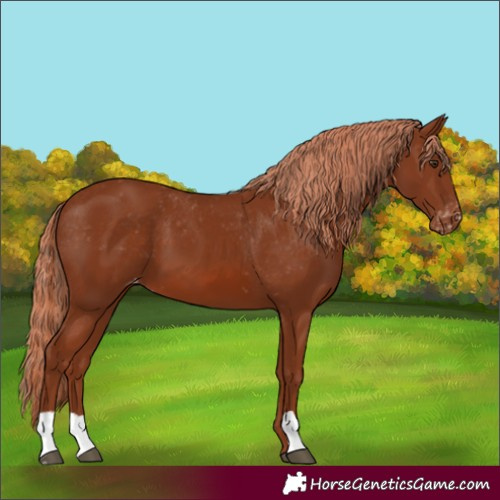 Horse Color:Chestnut Varnish 