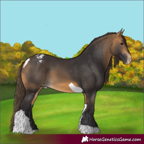 Horse Color:Buckskin Tobiano Varnish