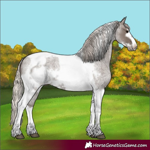 Horse Color:Silver Blue Roan Tobiano Frame 