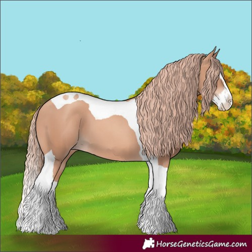 Horse Color:Gold Champagne Splash Tobiano 
