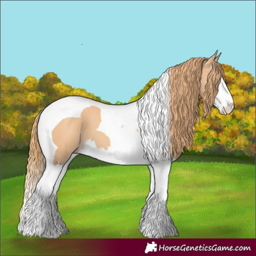 Horse Color:Gold Champagne Splash Tobiano 