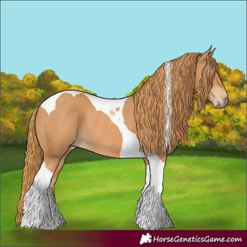 Horse Color:Chestnut Tobiano Rabicano 