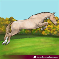Horse Color:Red Roan Pearl Tobiano Frame