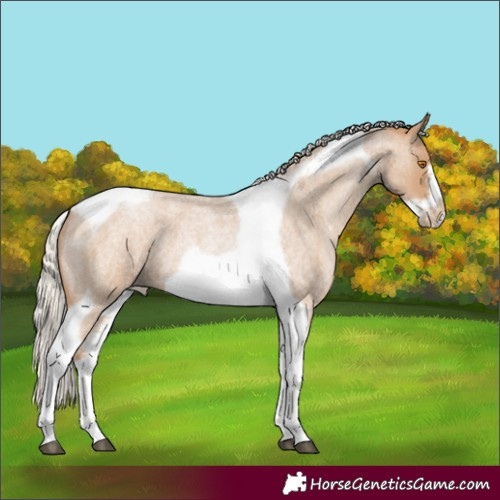 Horse Color:Silver Blue Roan Pearl Tobiano Frame 