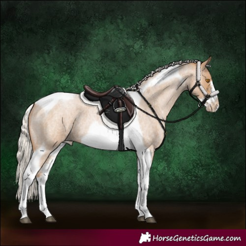 Horse Color:Silver Blue Roan Pearl Tobiano Frame