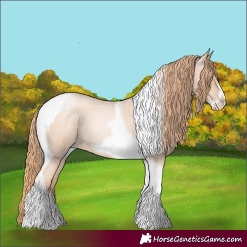 Horse Color:Gold Champagne Roan Pearl Tobiano Frame