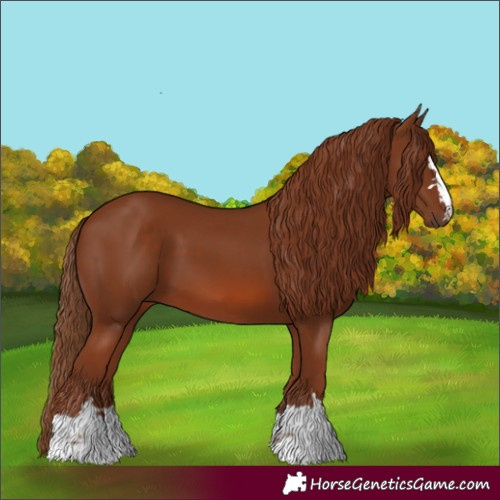 Horse Color:Chestnut 