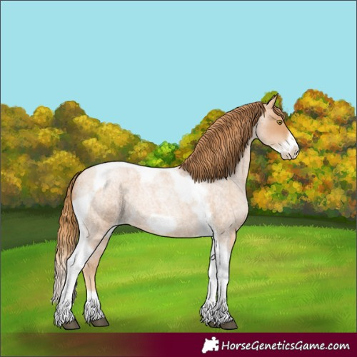 Horse Color:Red Roan Pearl Tobiano Frame 