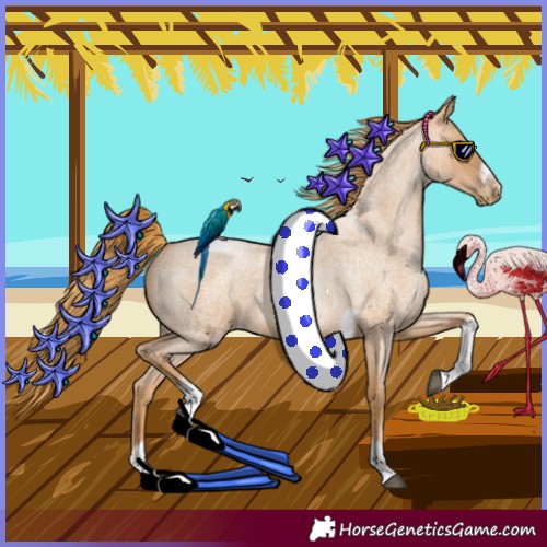 Horse Color:Red Roan Pearl Tobiano Frame 