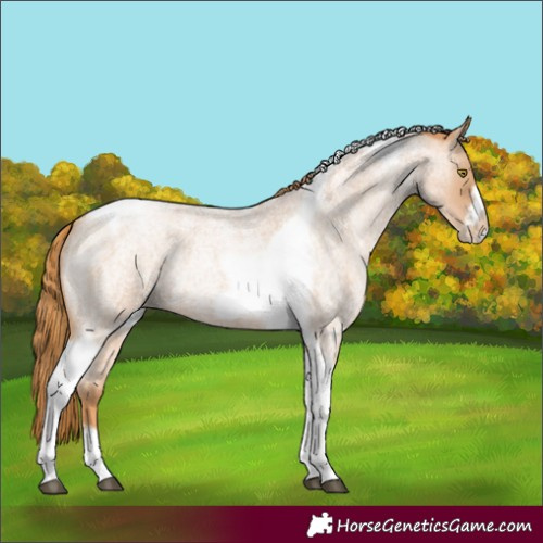 Horse Color:Red Roan Pearl Tobiano Frame