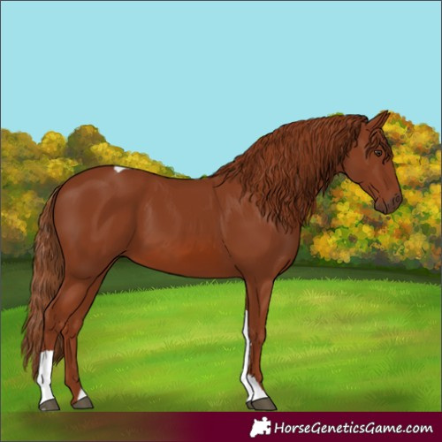 Horse Color:Chestnut Tobiano 