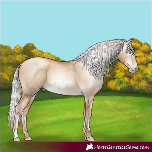Horse Color:Gray Silver Amber Cream Champagne Pearl