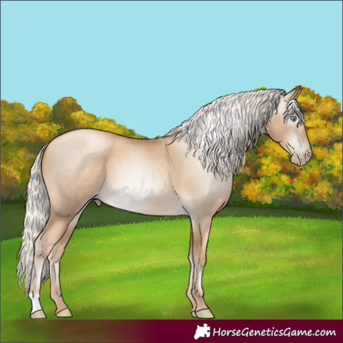 Horse Color:Gray Silver Amber Cream Champagne Pearl 