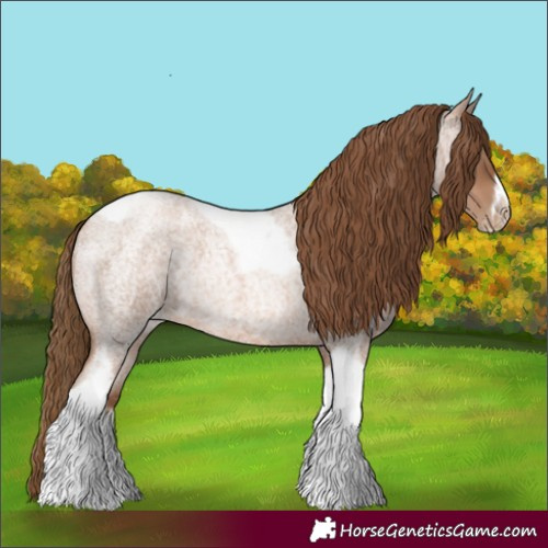 Horse Color:Liver Red Roan Pearl Tobiano Frame 