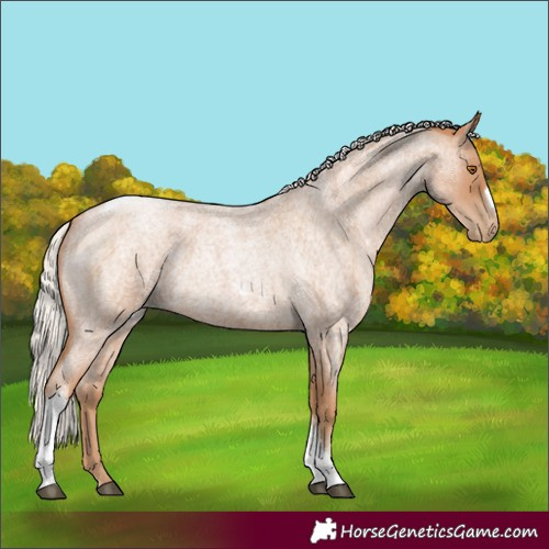 Horse Color:Silver Blue Roan Pearl Tobiano Frame 