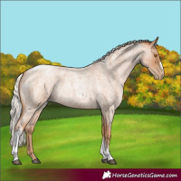 Horse Color:Silver Blue Roan Pearl Tobiano Frame