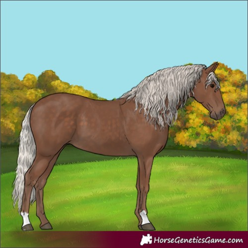 Horse Color:Silver Black 