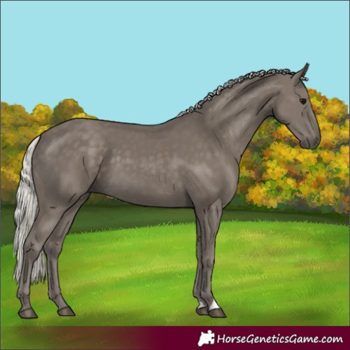 Horse Color:Silver Smoky Black 