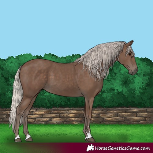 Horse Color:Silver Black 